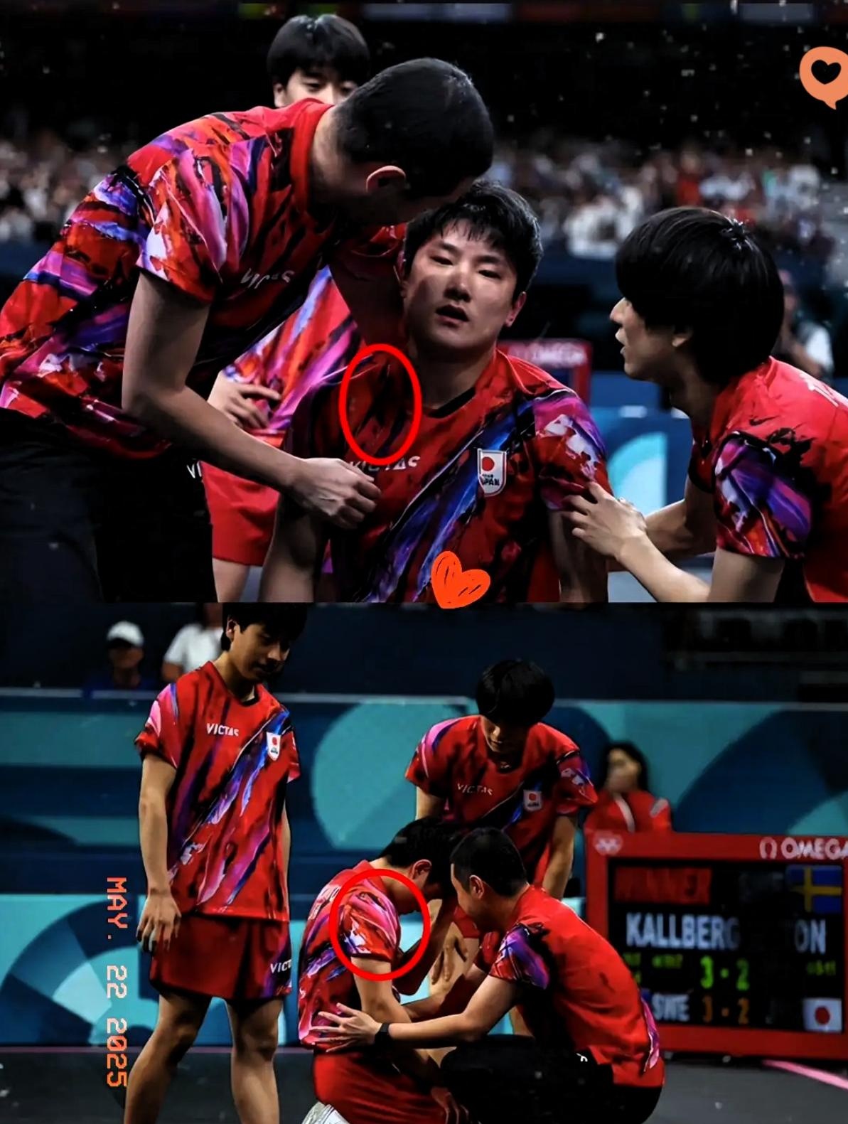 日本乒乓球队险胜英国乒乓球队，张本智和关键制胜的简单介绍