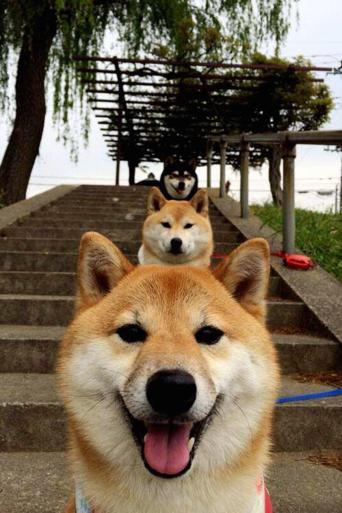 切特锁喉勇士,火箭爆冷起航!新秀一手掌舵比赛走势