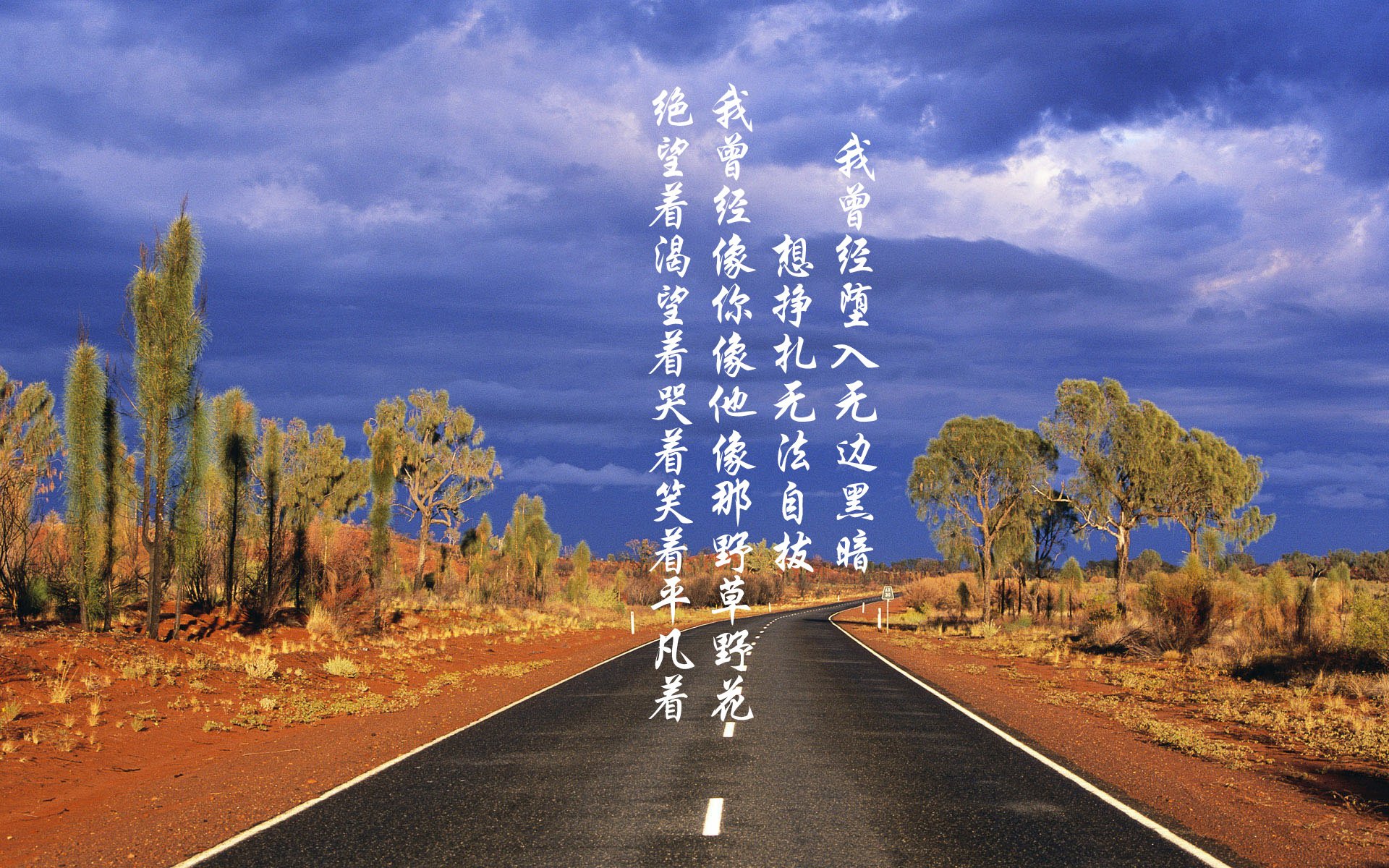 pg电子-轮胎与草皮的跨界对话，当F1年度争冠在卡塔尔一波带走丹麦