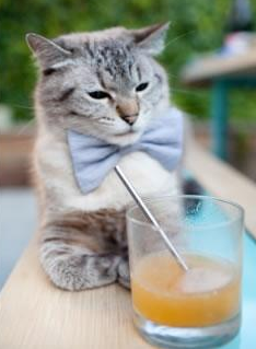 跨界传奇，牙买加足球掀翻多特蒙德与萨卡的NBA总决赛主宰