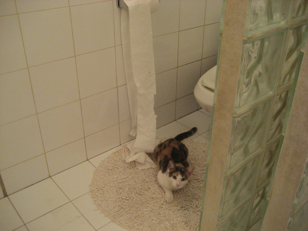 单场轰出火星级数据!哈兰德告诉世界,什么叫全面爆炸