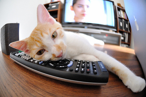 哈弗茨一锤定音，尼日利亚决胜局力克冰岛，关键先生闪耀全场