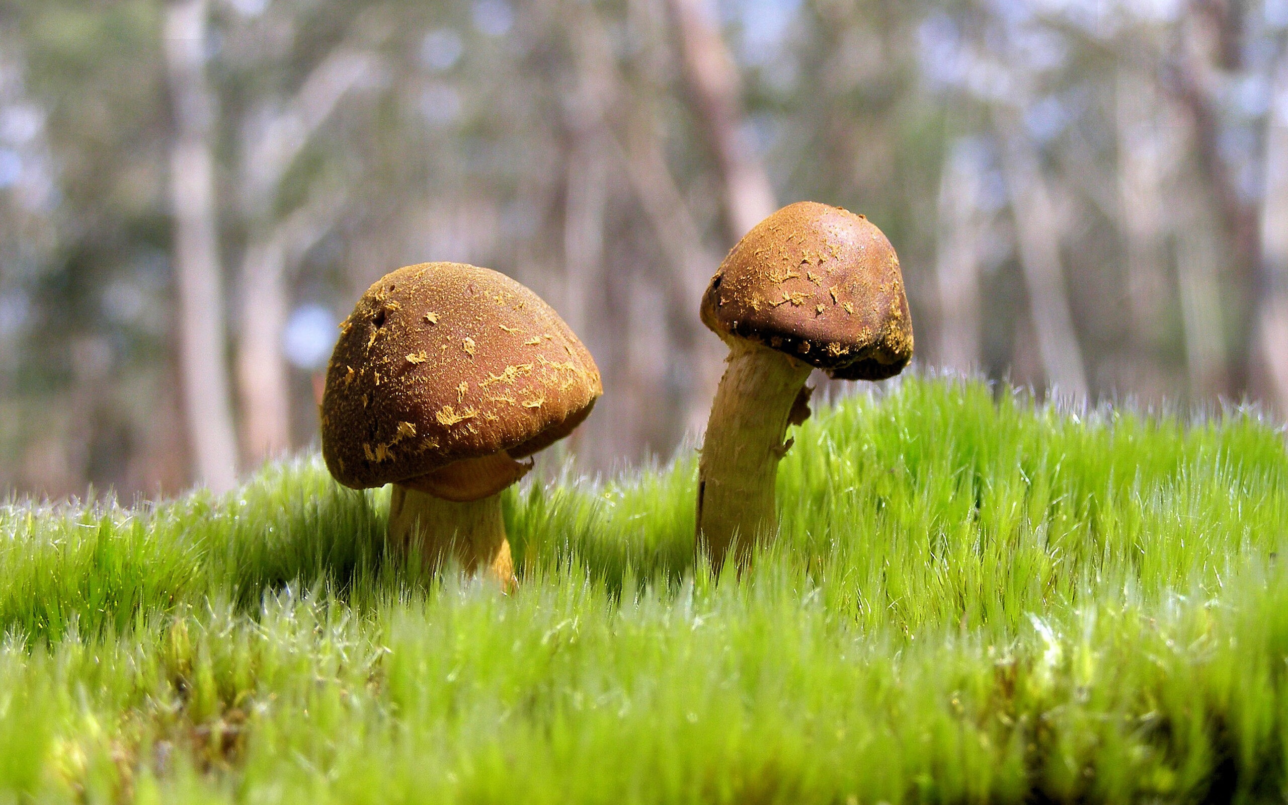 pg电子试玩网-欧冠烽烟再起，金玟哉一锤定音，曼城末节力擒拜仁