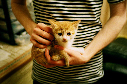 欧冠半决赛焦点战?广厦队客场强势带走北京队,CBA季后赛再掀狂潮