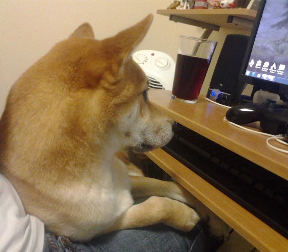 孤星悬夜，字母哥西决生死战封神记