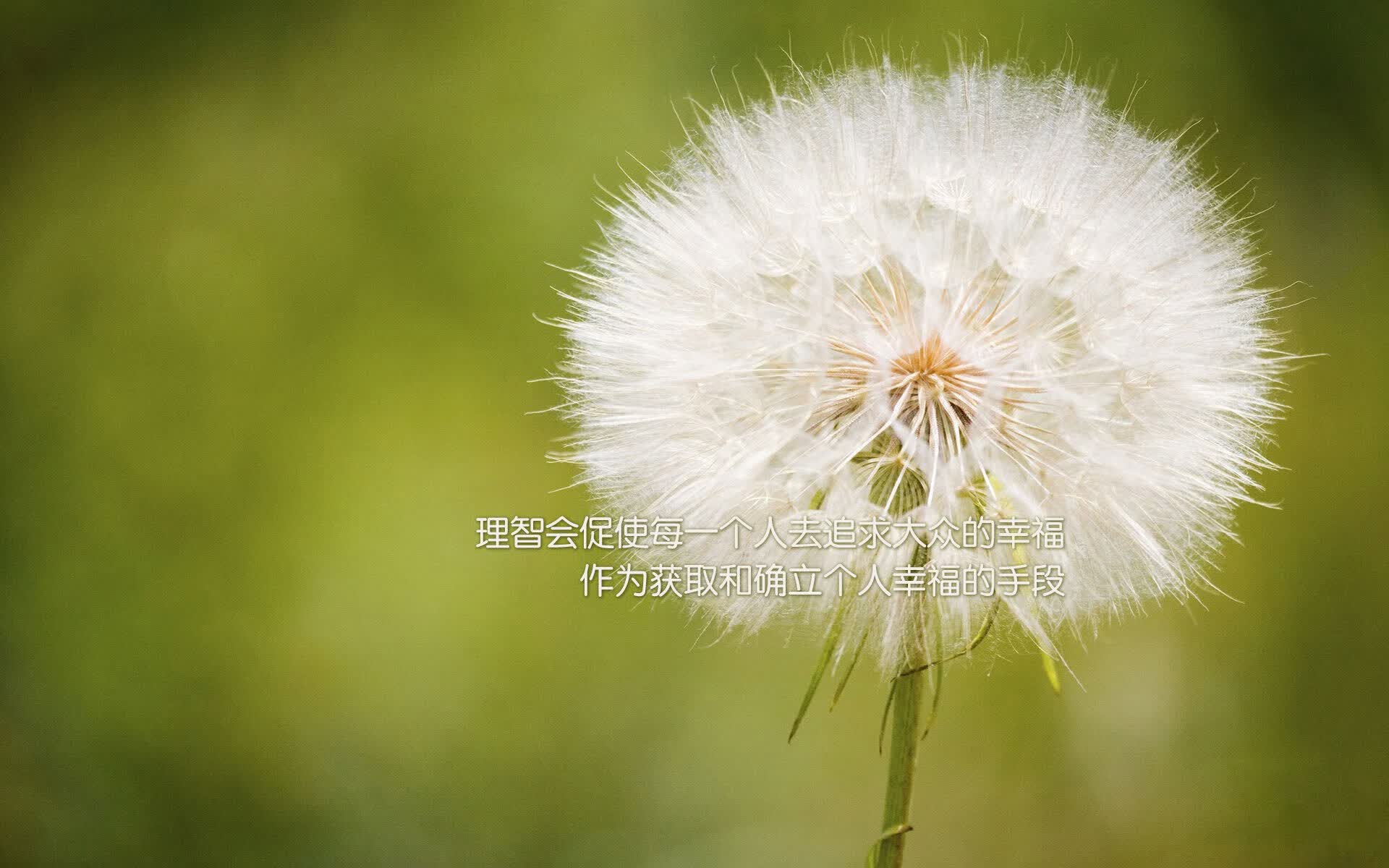 2026世界杯预选赛历史重演,意大利完胜匈牙利,C罗带队再续传奇