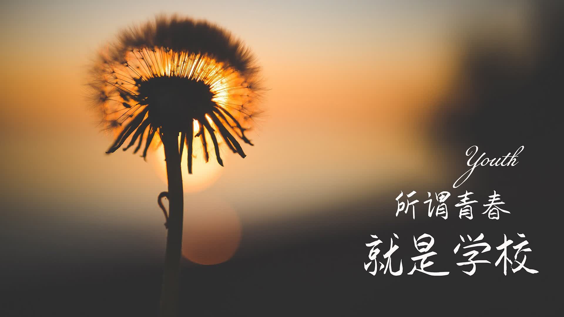 北欧风暴席卷绿茵,芬兰力克匈牙利,京多安闪耀全场